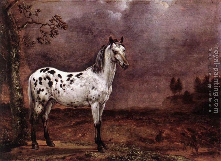 Paulus Potter : The Spotted Horse Paulus Potter : The Spotted Horse